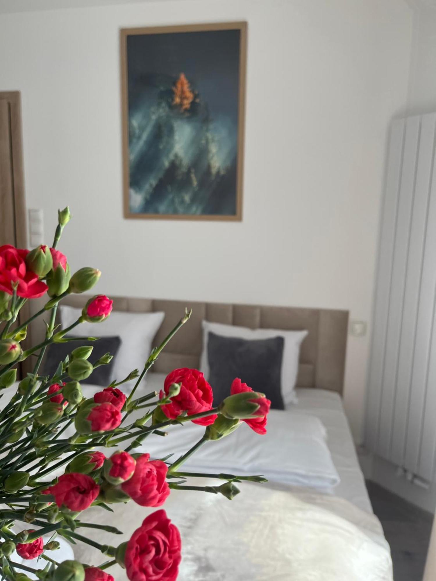 Karkonoskie Widoki Apartamenty Karpacz Esterno foto