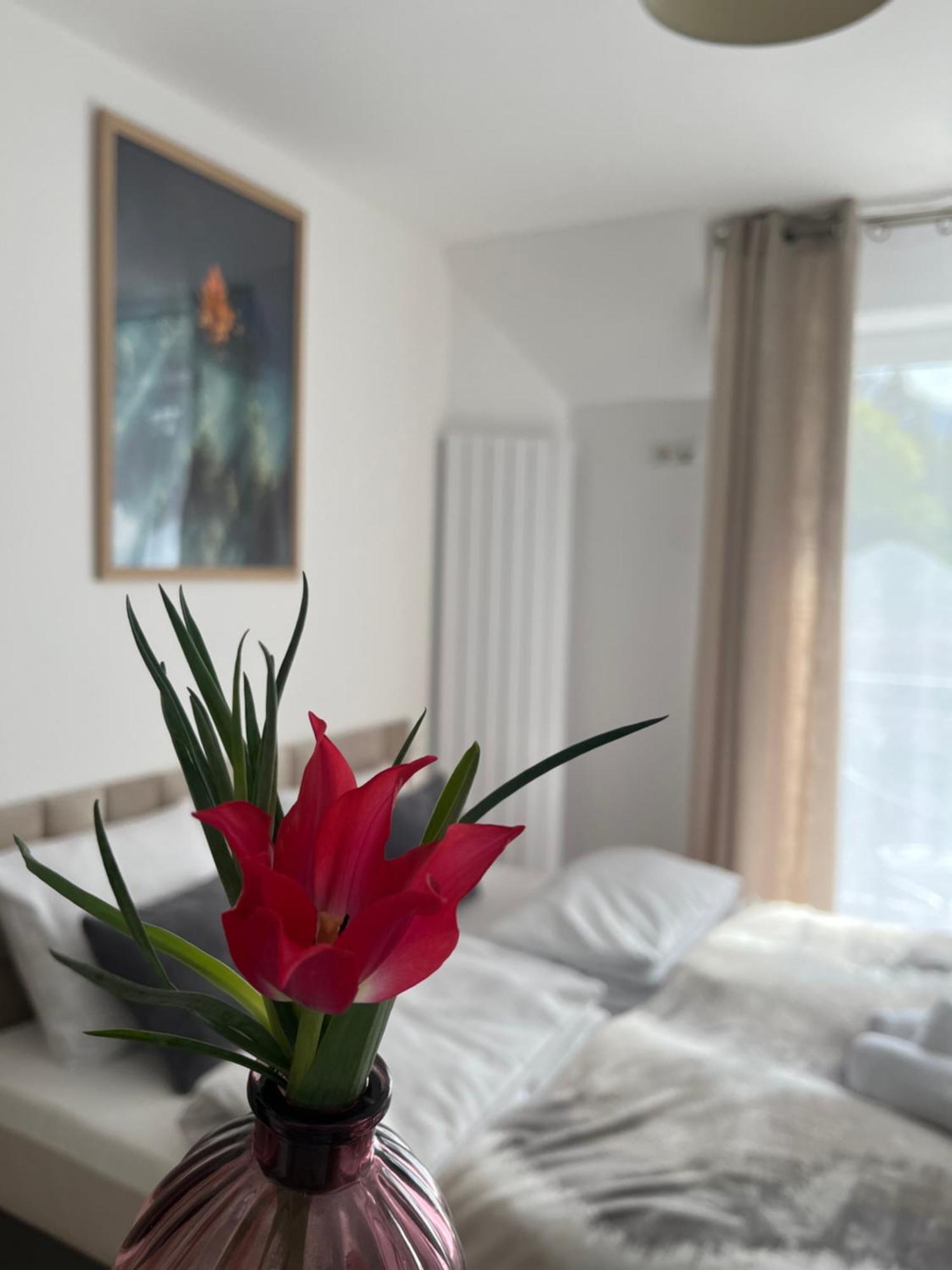 Karkonoskie Widoki Apartamenty Karpacz Esterno foto