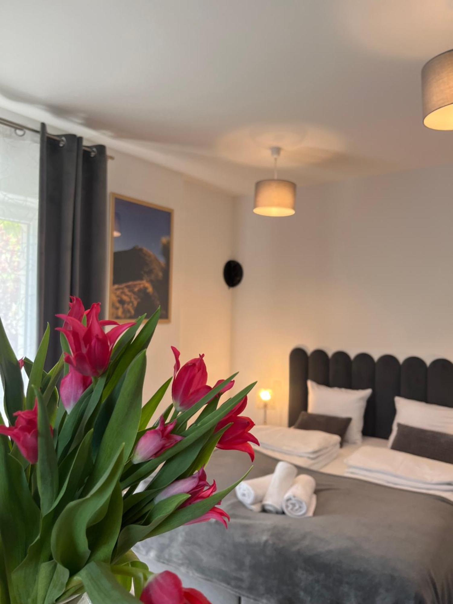 Karkonoskie Widoki Apartamenty Karpacz Esterno foto