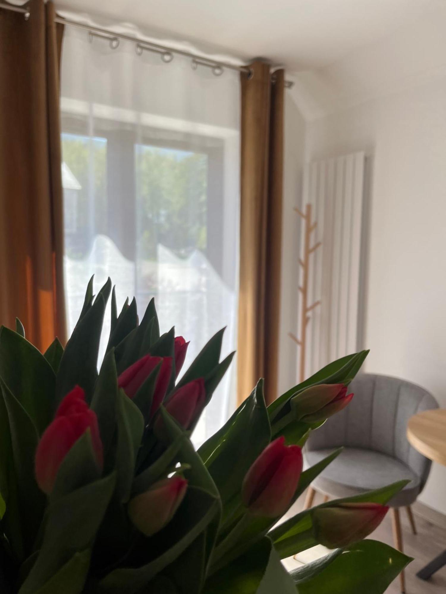 Karkonoskie Widoki Apartamenty Karpacz Esterno foto