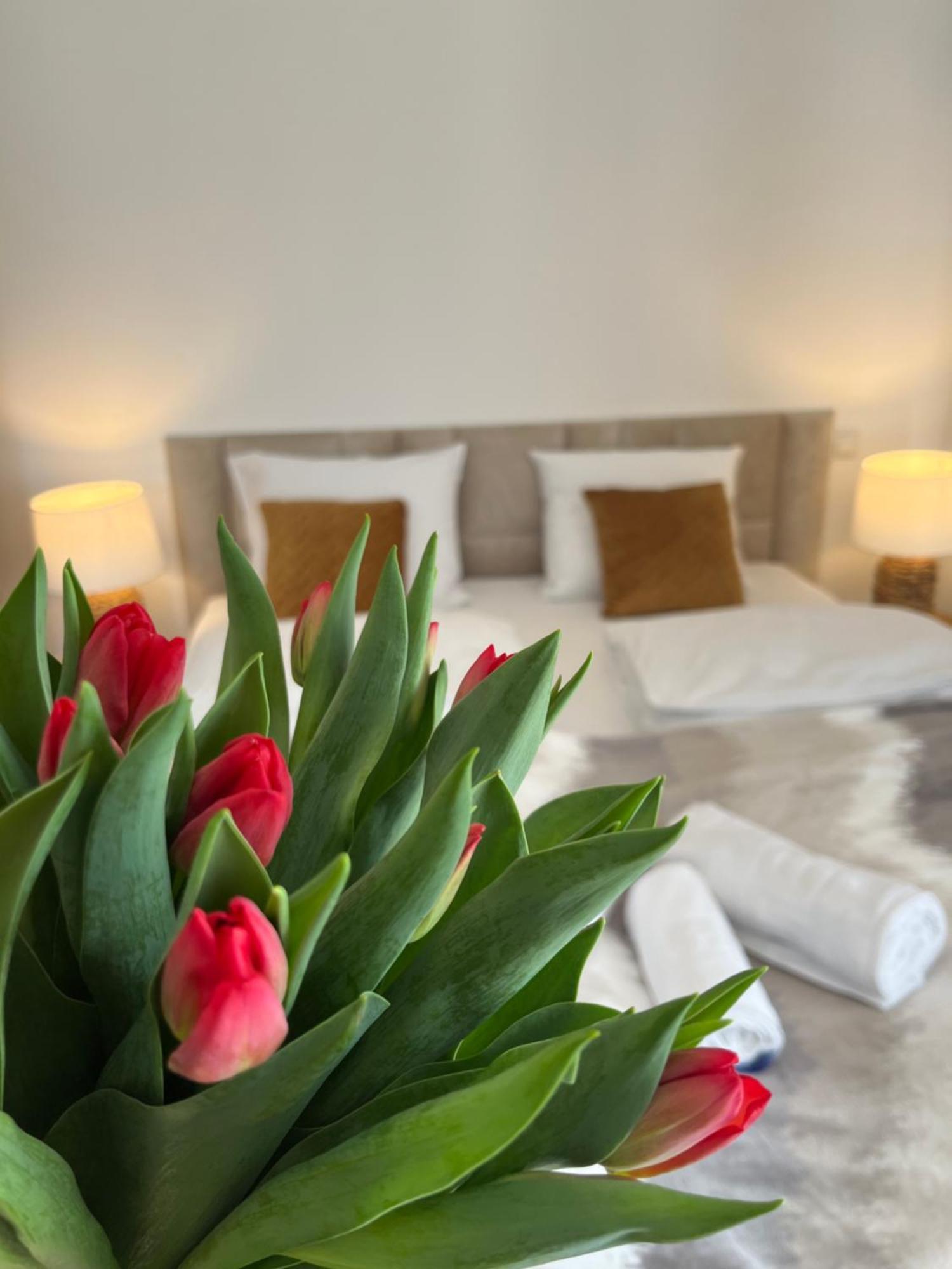 Karkonoskie Widoki Apartamenty Karpacz Esterno foto