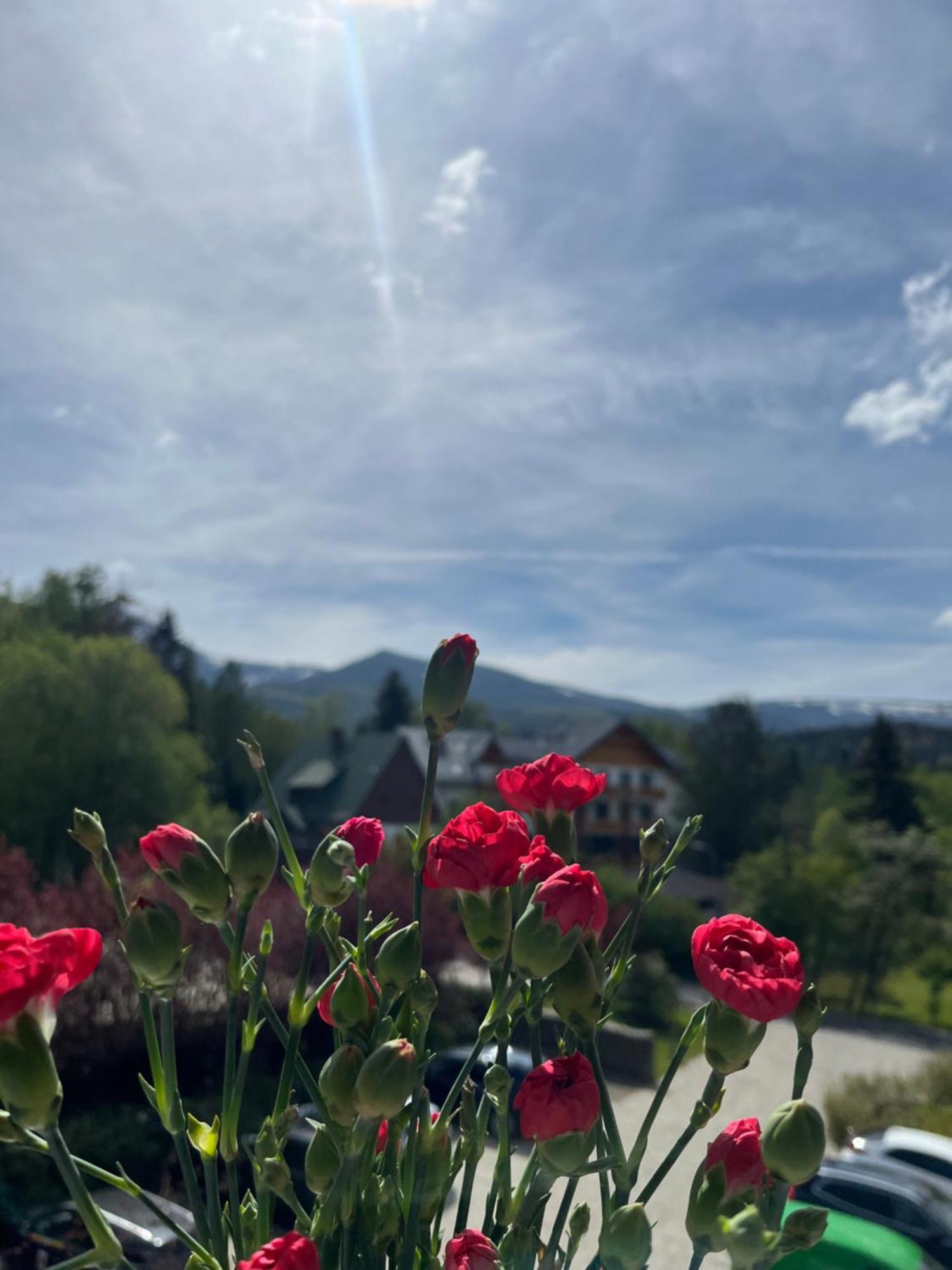 Karkonoskie Widoki Apartamenty Karpacz Esterno foto