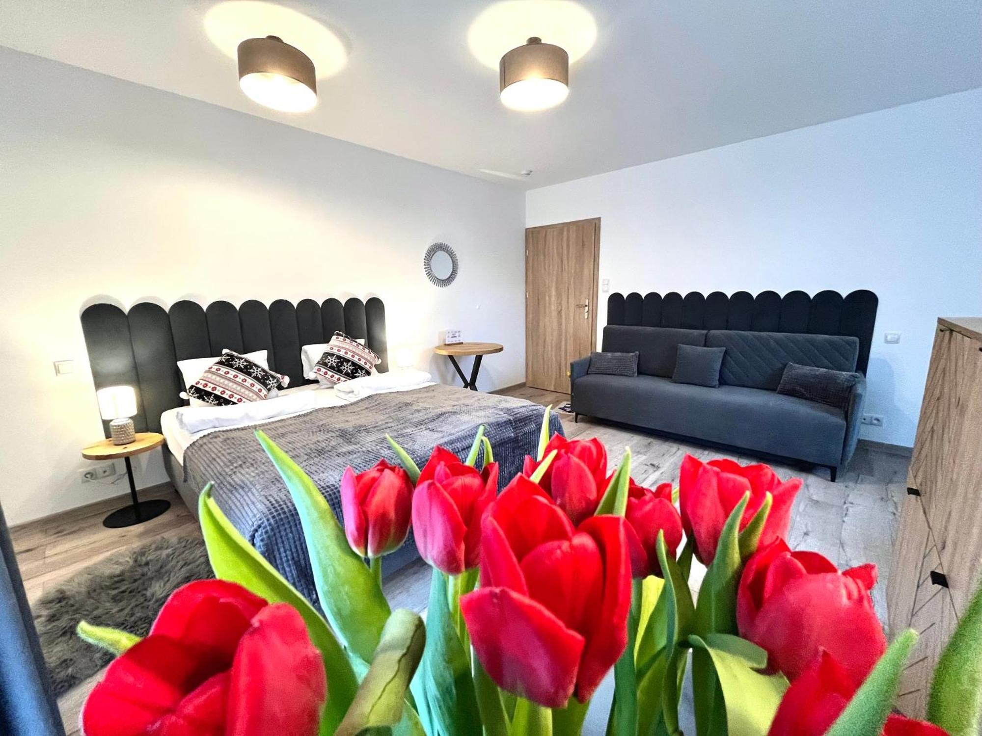 Karkonoskie Widoki Apartamenty Karpacz Esterno foto