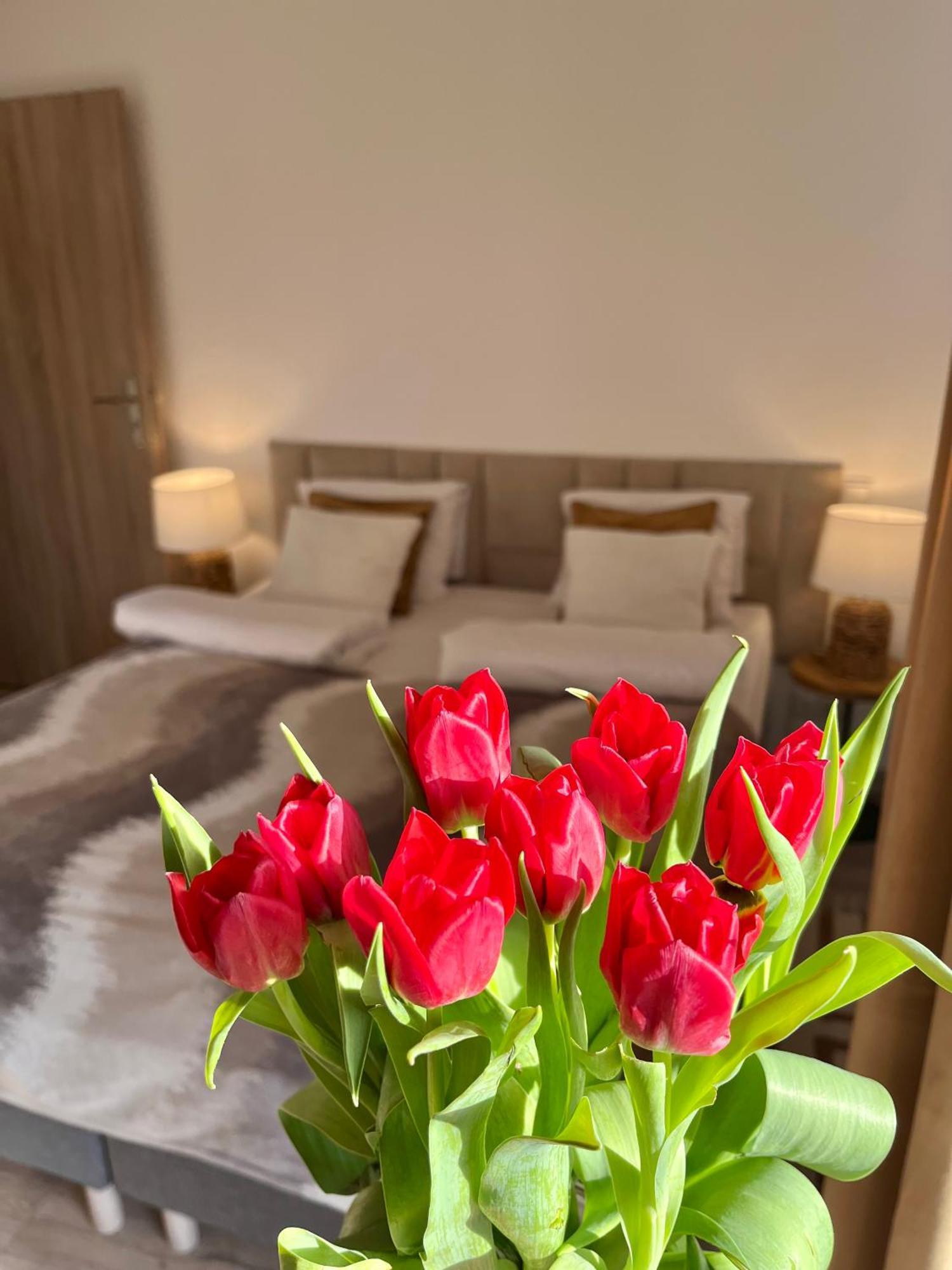 Karkonoskie Widoki Apartamenty Karpacz Esterno foto
